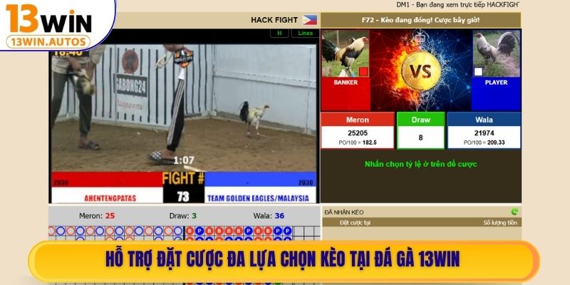 Hỗ trợ đặt cược đa lựa chọn kèo tại Đá Gà 13WIN