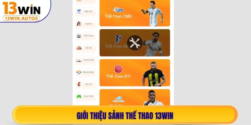 Giới thiệu sảnh Thể Thao 13WIN